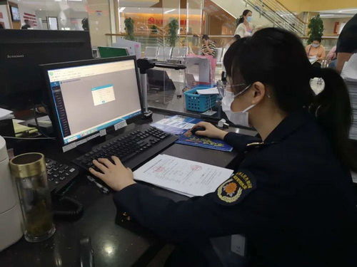 互聯(lián)網(wǎng)政務服務 城市管理服務便民新篇章